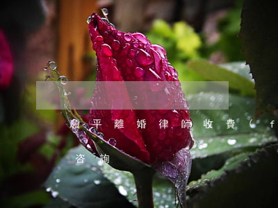 順平離婚律師收費(fèi)(北京順義律師咨詢)