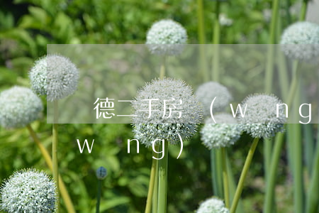 順德二手房網(wǎng)(順德二手房網(wǎng))