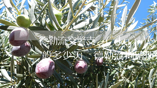 順德勒流交警支隊(duì)無證駕駛拘留一般多少天(順德勒流拘留所地址)