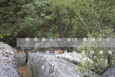 順德區(qū)聘請(qǐng)債務(wù)律師(順德律師事務(wù)所招聘)