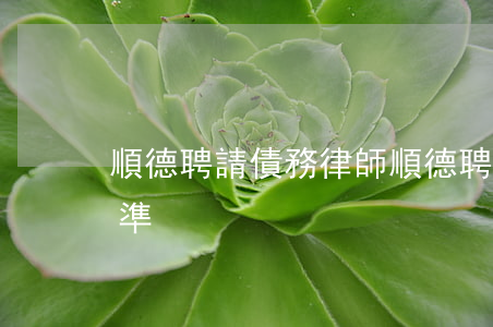 順德聘請債務律師(順德聘請債務律師收費標準)