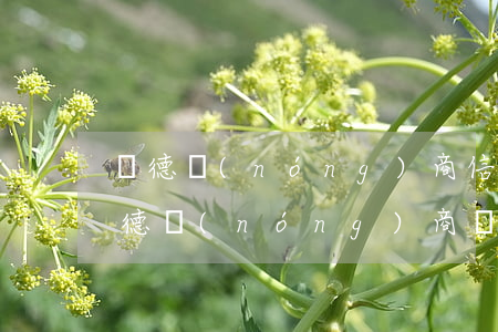 順德農(nóng)商信用卡可以透支嗎(順德農(nóng)商銀行信用卡)