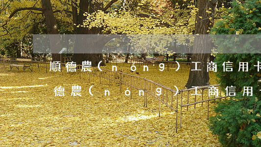 順德農(nóng)工商信用卡逾期1天(順德農(nóng)工商信用卡逾期1天)