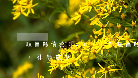 順昌縣債務(wù)律師(順昌縣債務(wù)律師電話)