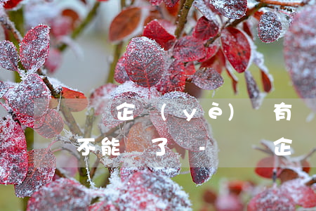 順豐企業(yè)貸有過(guò)逾期就不能貸了嗎-順豐企業(yè)貸有過(guò)逾期就不能貸了嗎為什么