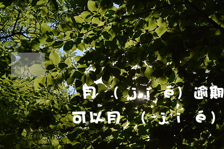 順豐月結(jié)逾期幾天會怎么樣嗎(順豐可以月結(jié)嗎)