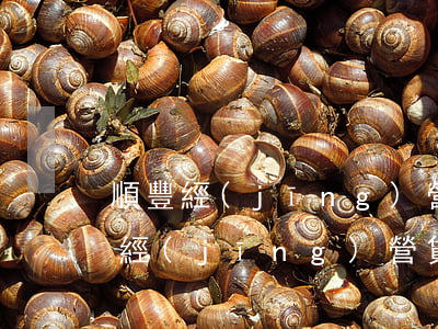 順豐經(jīng)營貸逾期怎么還款(順豐經(jīng)營貸逾期怎么還款)