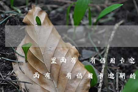 順豐里面有沒有信用卡逾期的員工-順豐里面有沒有信用卡逾期的員工啊