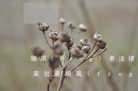 順風(fēng)車法律規(guī)定(國家出臺順風(fēng)車的相關(guān)法律)