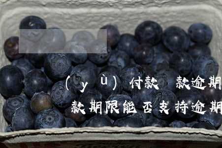 預(yù)付款還款逾期利息(未約定利息和還款期限,能否支持逾期利息)