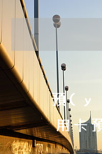 預(yù)借現(xiàn)金還信用卡（信用卡預(yù)借現(xiàn)金協(xié)商）