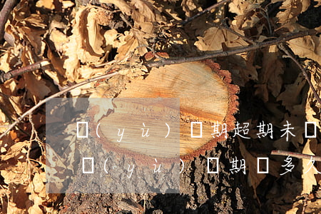 預(yù)備期超期未轉(zhuǎn)正（預(yù)備期滿多久后算逾期未轉(zhuǎn)正）