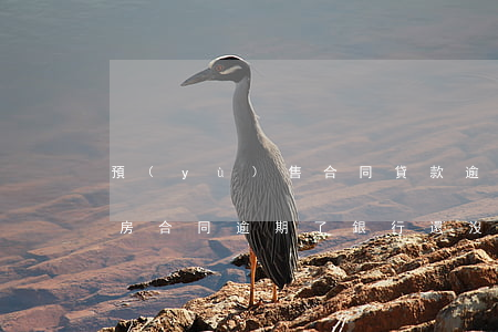 預(yù)售合同貸款逾期-購(gòu)房合同逾期了銀行還沒(méi)放款