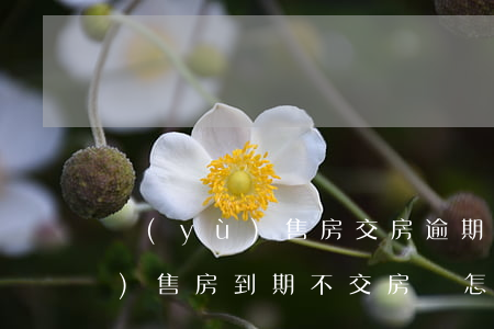 預(yù)售房交房逾期找不到人(預(yù)售房到期不交房該怎么辦)