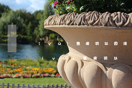 預(yù)售房可以司法拍賣嗎(法院拍賣的預(yù)售房可以辦房產(chǎn)證嗎)