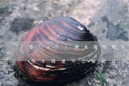 預(yù)期未還信用卡起訴會抓人嗎(欠信用卡錢還不上 被起訴了 會拘留嗎)