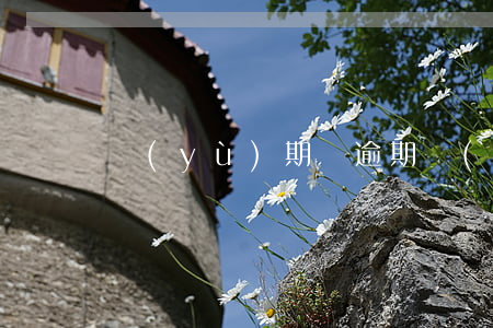 預(yù)期與逾期（預(yù)期不逾期）
