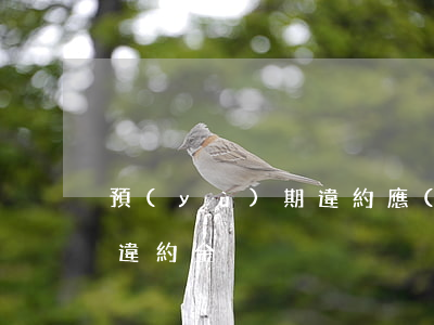 預(yù)期違約應(yīng)支付多少違約金