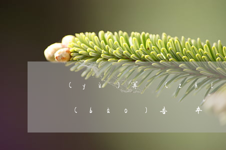 預(yù)算執(zhí)行審計(jì)報(bào)告(縣本級(jí)預(yù)算執(zhí)行審計(jì)報(bào)告)
