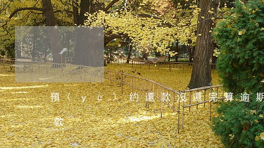 預(yù)約還款沒還完算逾期嗎(逾期未還款)