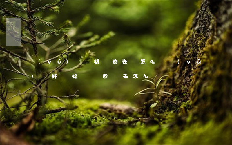 預(yù)約離婚沒有去會怎么樣(預(yù)約好離婚時間但沒去怎么辦)