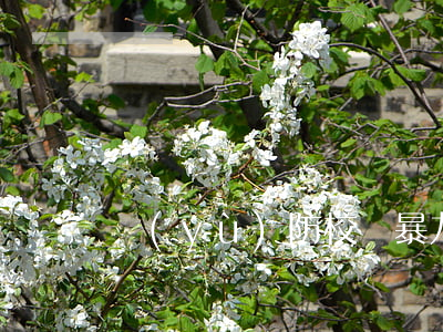 預(yù)防校園暴力
