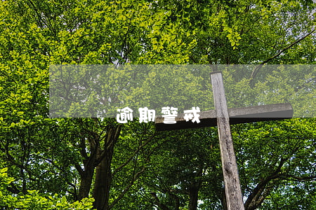 預測逾期警戒線