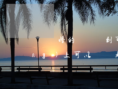 預約離婚的時間沒到可以去起訴嗎(網(wǎng)上可以預約起訴離婚嗎)