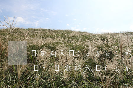 預逾期天數(shù)的計算包括最后一天嗎-預逾期天數(shù)的計算包括最后一天嗎
