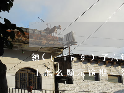 領(lǐng)了六年免檢網(wǎng)上怎么顯示逾期-領(lǐng)了六年免檢網(wǎng)上怎么顯示逾期了
