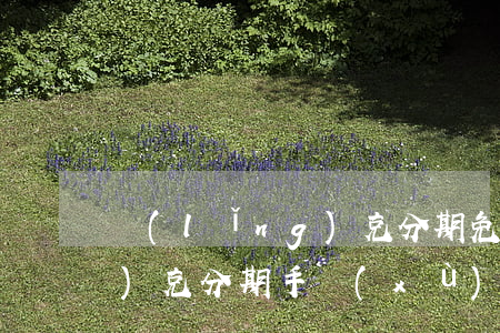 領(lǐng)克分期免息嘛(領(lǐng)克分期手續(xù)費)