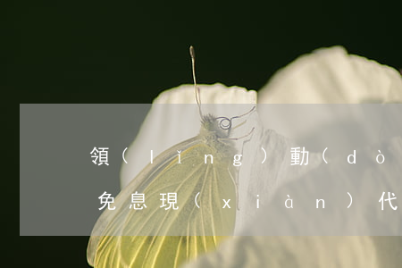 領(lǐng)動(dòng)分期買多年免息(現(xiàn)代領(lǐng)動(dòng)分期免息嗎)
