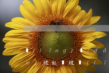 領(lǐng)導(dǎo)借錢(qián)被起訴(被領(lǐng)導(dǎo)借錢(qián)不還怎么辦,數(shù)目不小)