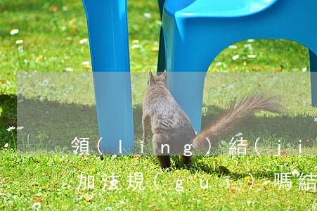 領(lǐng)結(jié)婚證可以另外加法規(guī)嗎(結(jié)婚只領(lǐng)證其它都不要可以嗎)