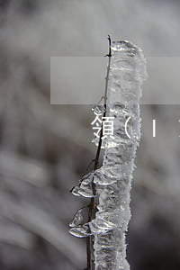領(lǐng)結(jié)婚證穿衣禁忌