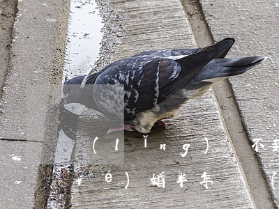 領(lǐng)證不到半年女方離婚(結(jié)婚半年沒領(lǐng)證離婚要怎么判)