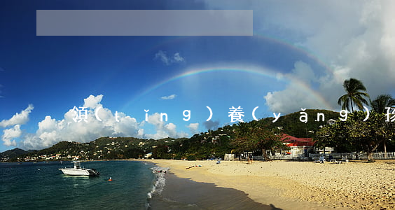 領(lǐng)養(yǎng)孩子條件
