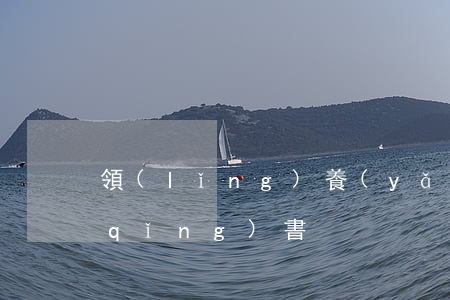 領(lǐng)養(yǎng)小孩申請(qǐng)書