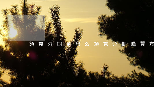 領克分期免息么 領克分期購買方案