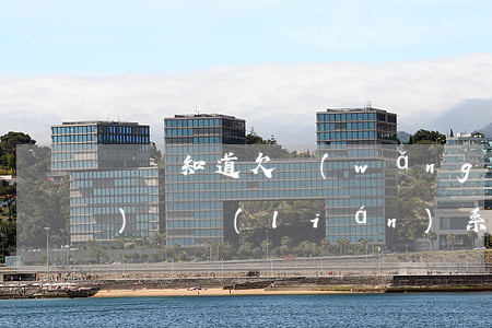 領導知道欠網(wǎng)貸(網(wǎng)貸聯(lián)系公司領導違法嗎)