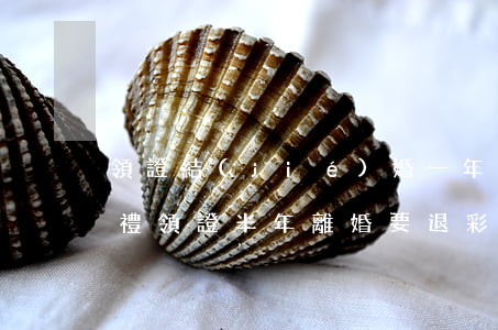 領證結(jié)婚一年離婚可以退多少彩禮(領證半年離婚要退彩禮嗎)