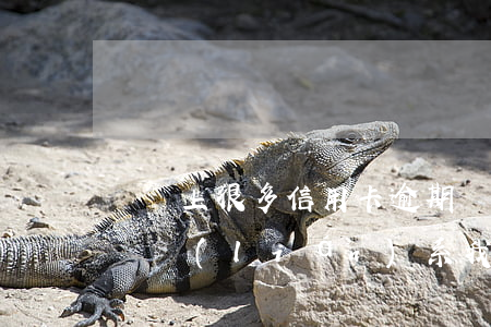 頭條上很多信用卡逾期協(xié)商(有律師聯(lián)系我說信用卡逾期起訴了)