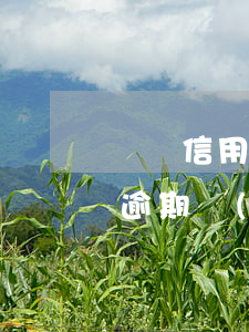 頭條信用卡逾期協(xié)商收費(信用卡逾期協(xié)商口頭協(xié)議有效嗎)