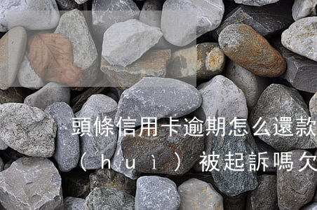 頭條信用卡逾期怎么還款-今日頭條逾期會(huì)被起訴嗎欠款一萬多