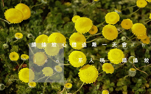 頭條放心借逾期一天會(huì)打聯(lián)系人嗎-頭條放心借逾期一天會(huì)打聯(lián)系人嗎是真的嗎