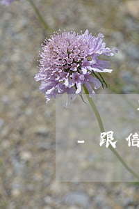 頭條講解信用卡逾期協(xié)商的博主-跟信用卡協(xié)商成功后又逾期了