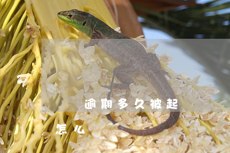 頭條逾期多久被起訴(頭條逾期會(huì)怎么樣)