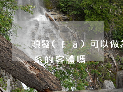 頭發(fā)可以做為法律關(guān)系的客體嗎