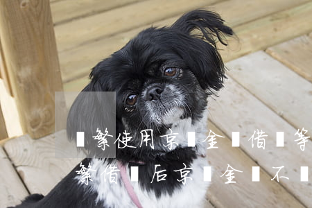 頻繁使用京東金條借唄等但沒逾期-最近頻繁借貸后京東金條不給借嗎