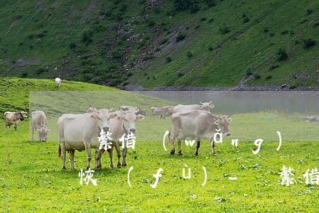 頻繁借網(wǎng)貸沒有逾期多久可以恢復(fù)-頻繁借網(wǎng)貸沒有逾期多久可以恢復(fù)征信